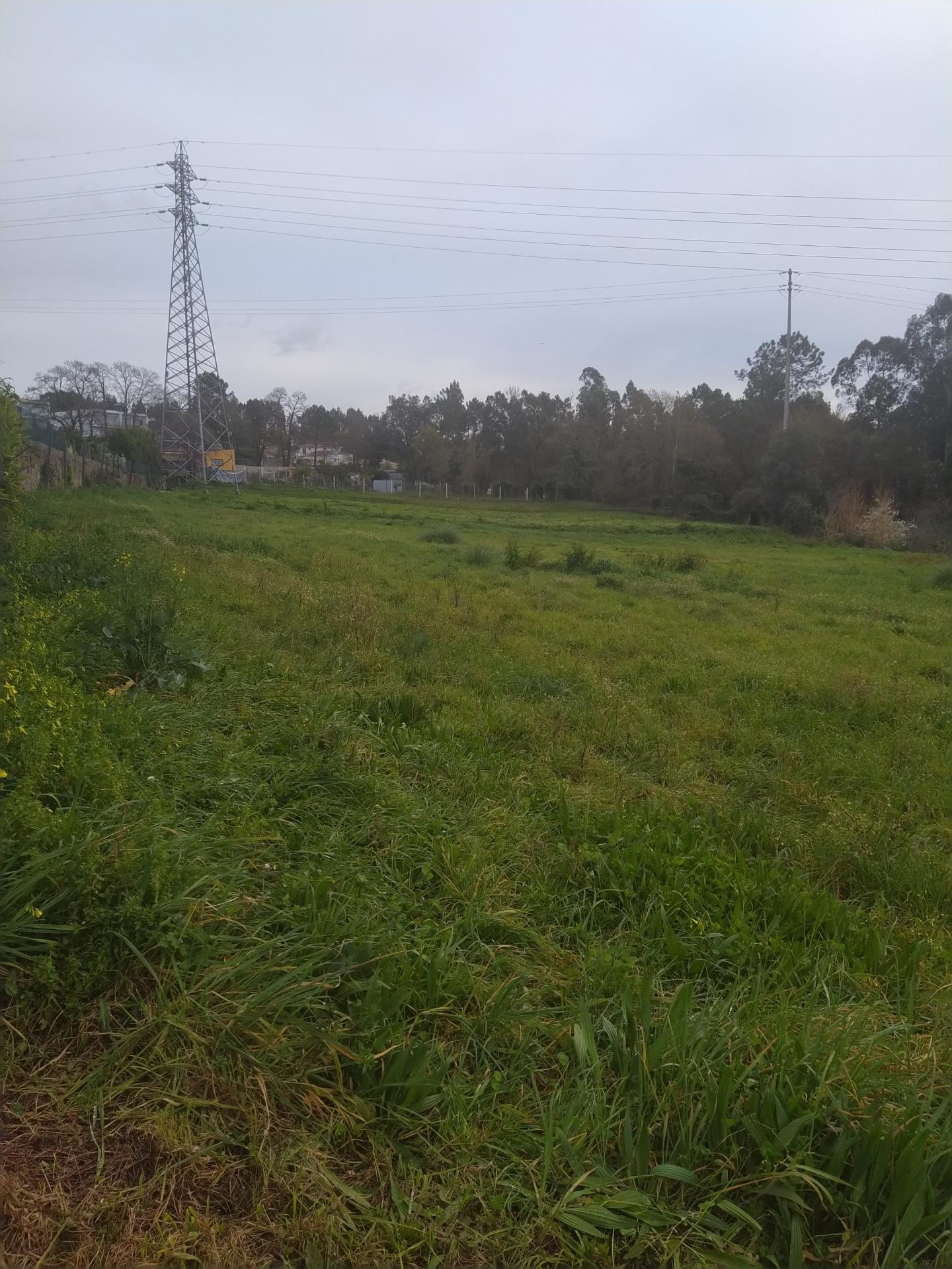 Terreno com uma área total de 5900m2  numa zona residencial em Pousadela, Nogueira da Regedoura.