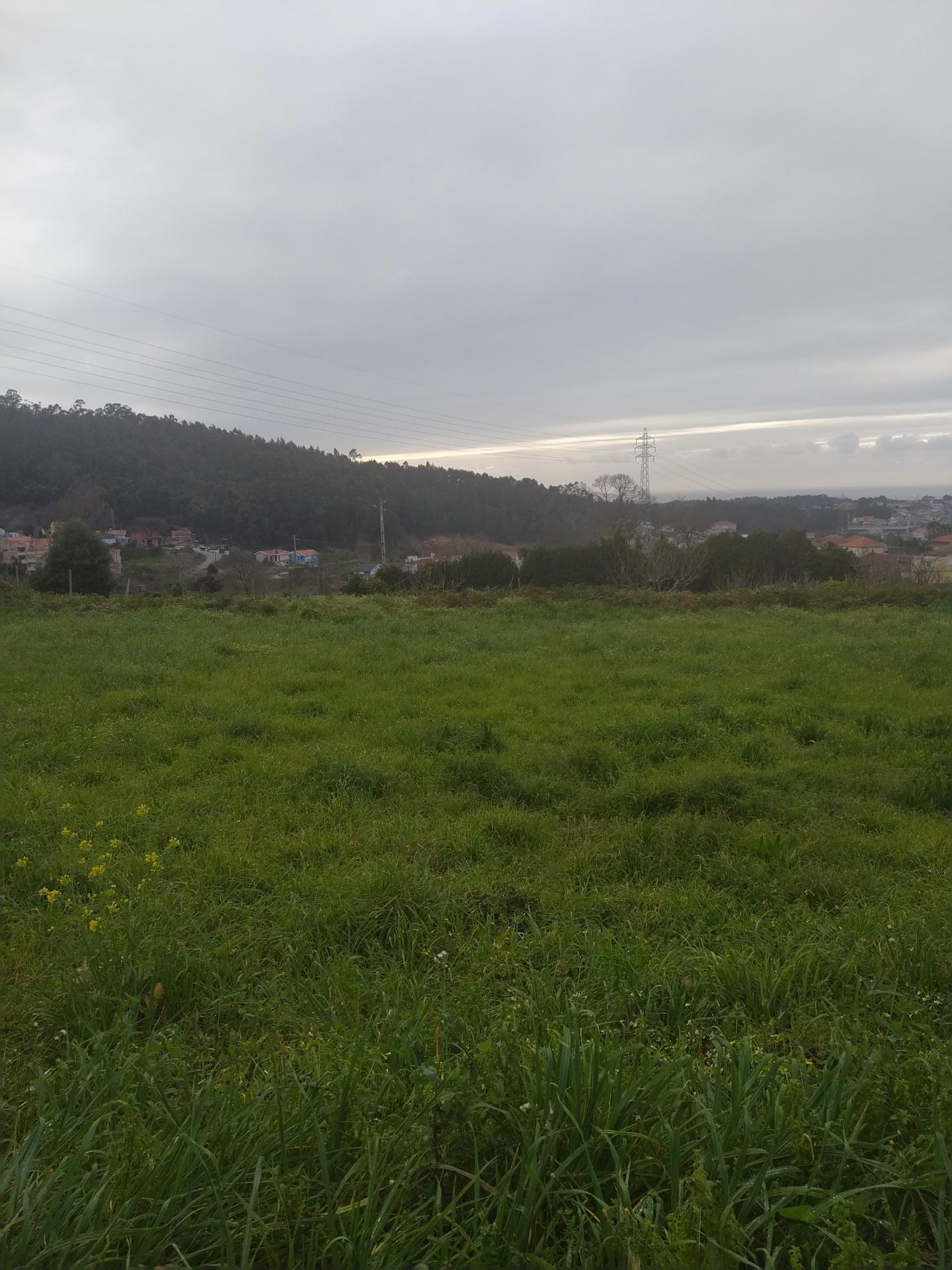 Terreno com uma área total de 5900m2  numa zona residencial em Pousadela, Nogueira da Regedoura.