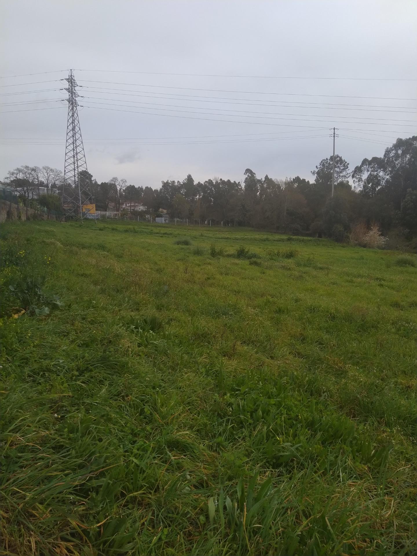 Terreno com uma área total de 5900m2  numa zona residencial em Pousadela, Nogueira da Regedoura.