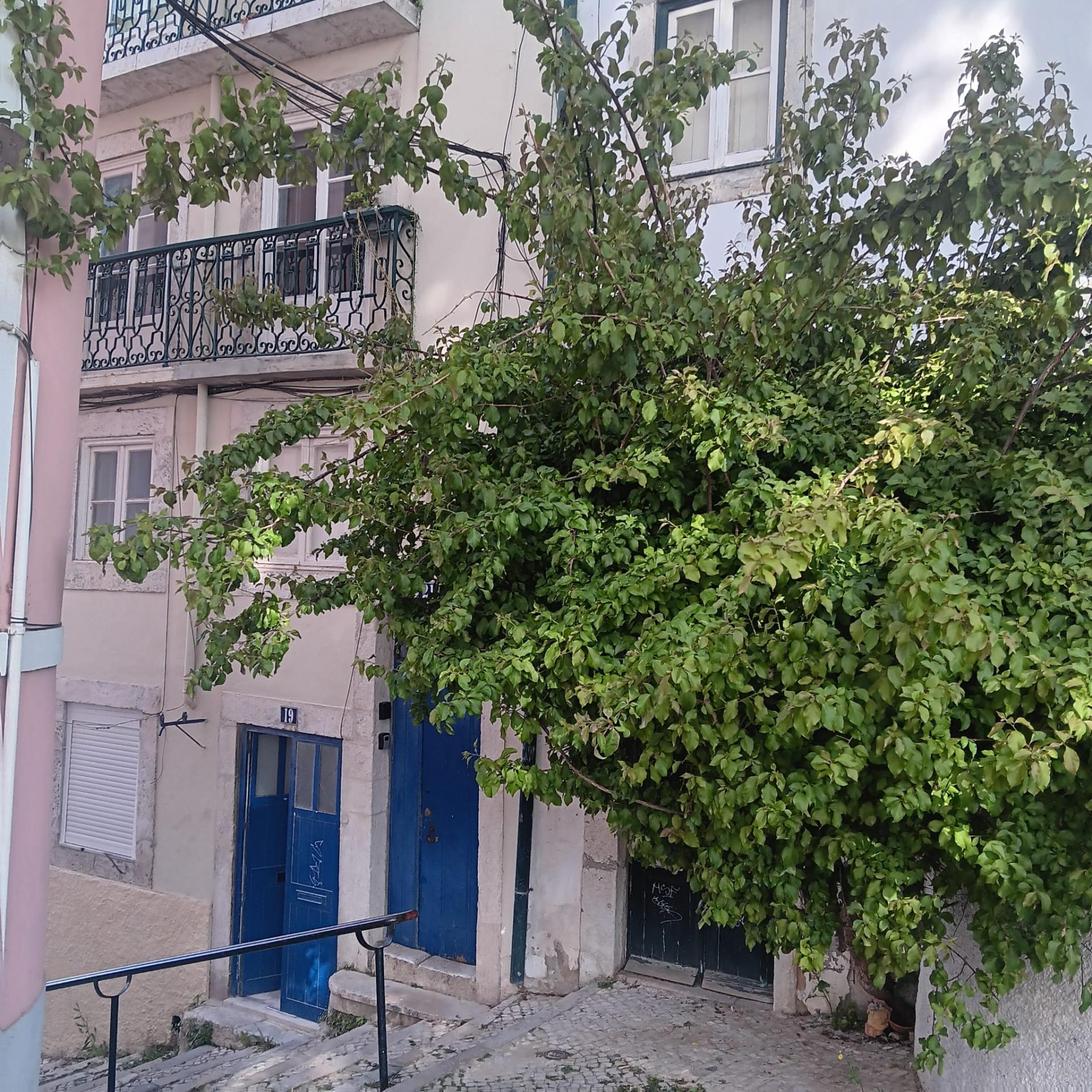 Acogedor apartamento en el corazón histórico de Lisboa