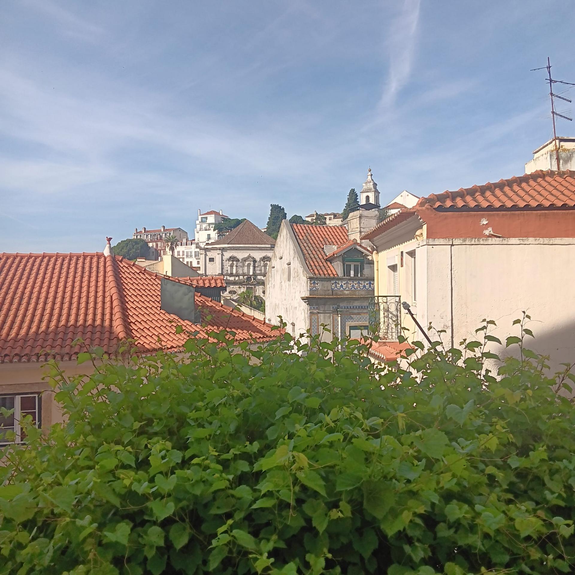 Acogedor apartamento en el corazón histórico de Lisboa