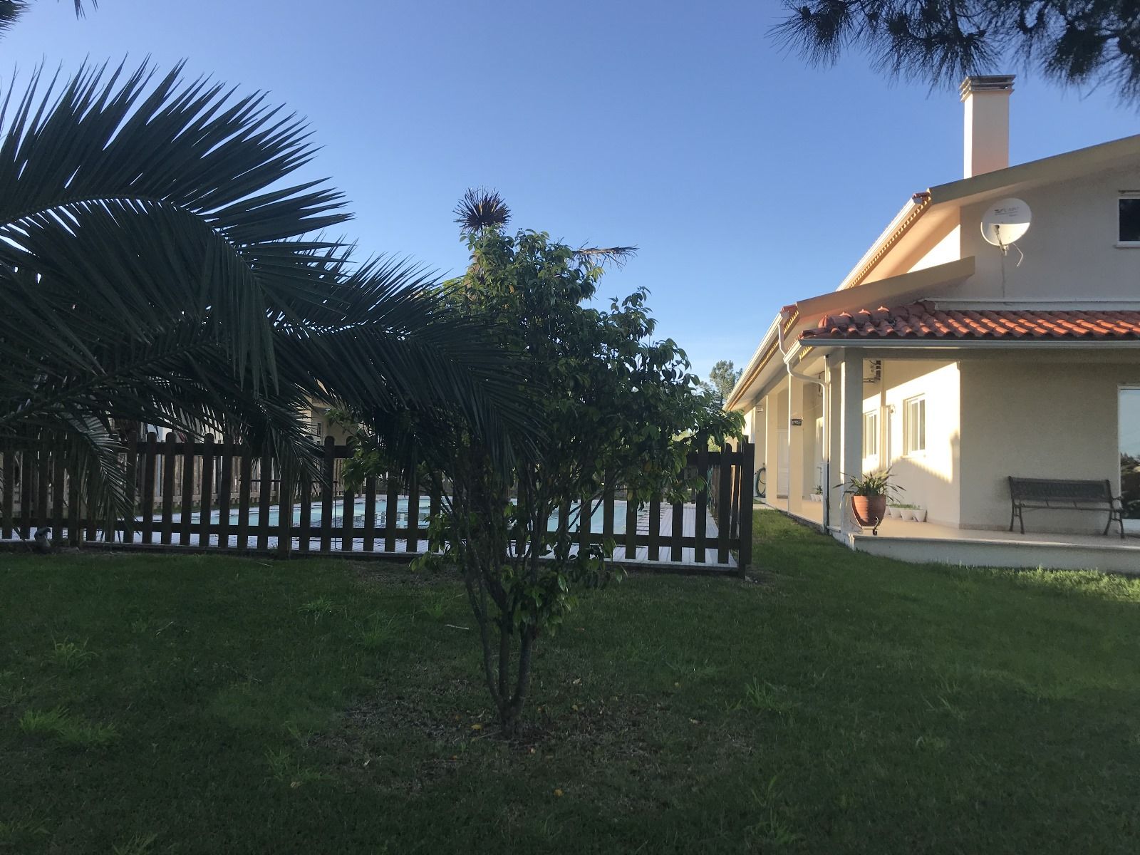 Farm of  "Estrada" in Soure, Coimbra