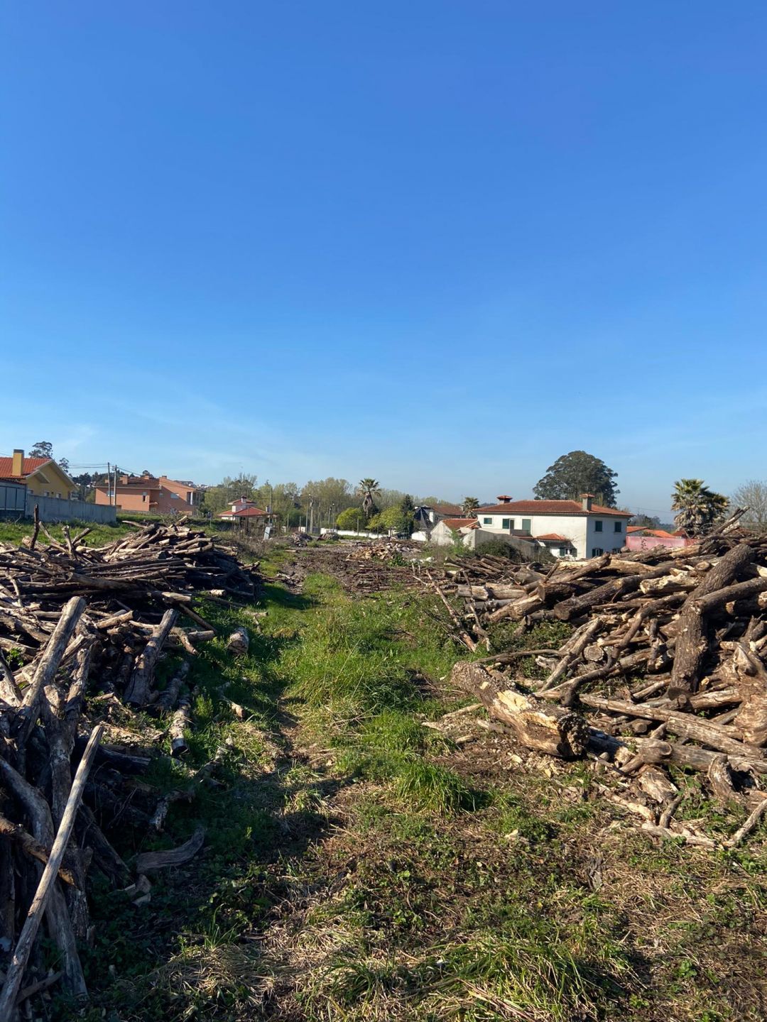 Building land in Fiães