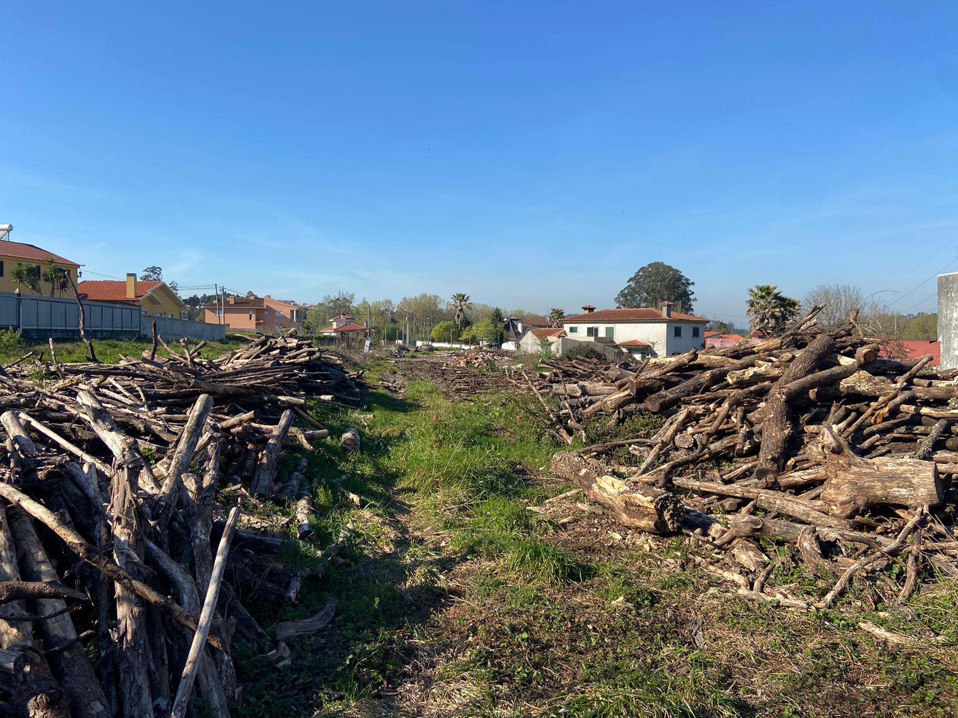 Building land in Fiães