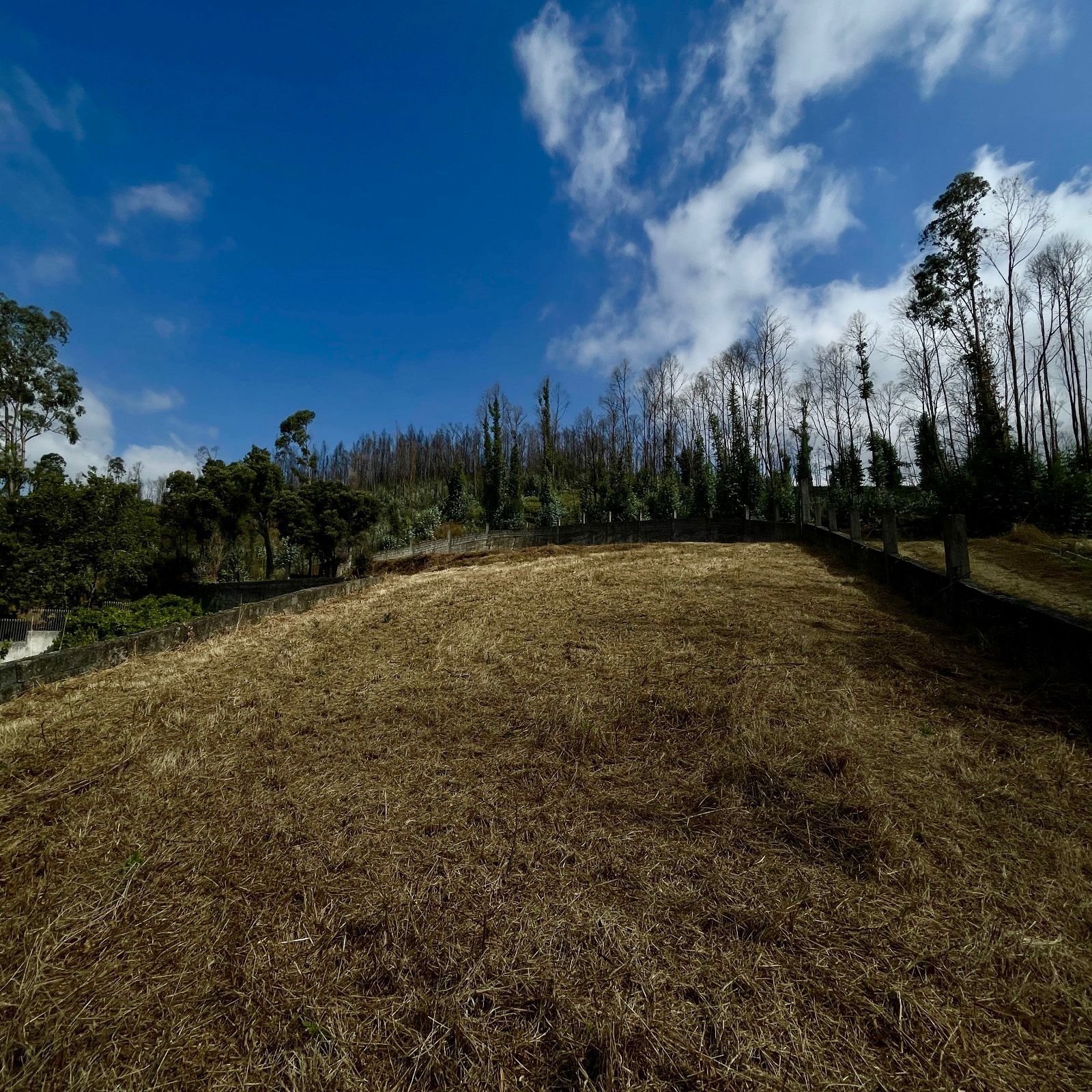 Terreno con vistas privilegiadas sobre el río Duero