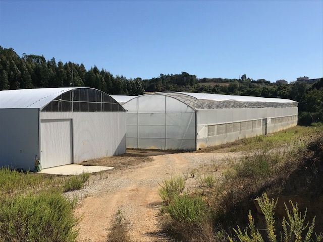 Land with greenhouse in Soure, Coimbra