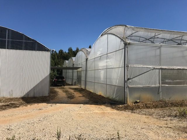 Land with greenhouse in Soure, Coimbra