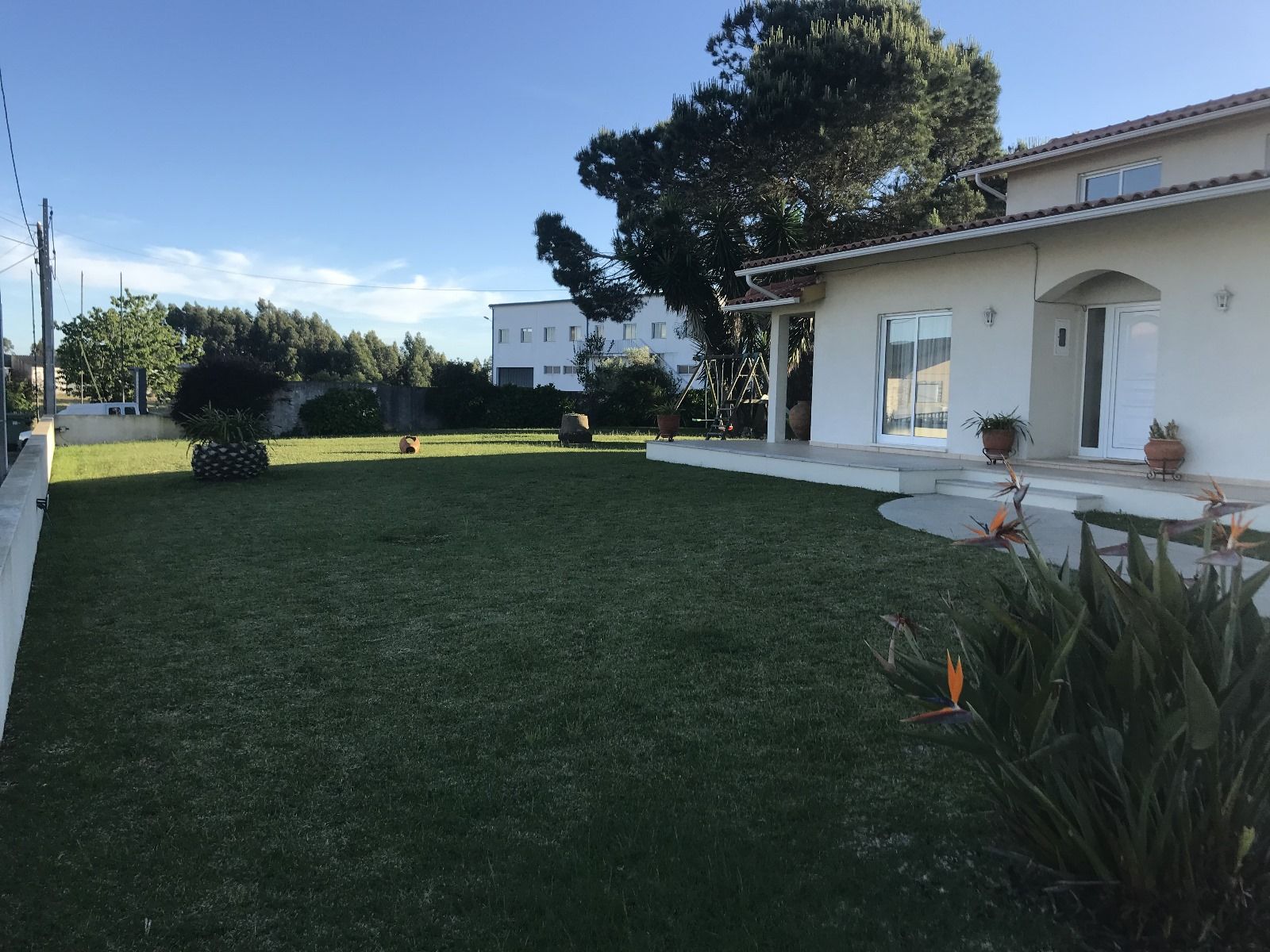 Estrada" farm and land with greenhouse in Soure, Coimbra